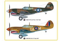 P-40E Kittyhawk - Image 1
