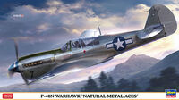 P-40N Warhawk Natural Metal Aces - Image 1