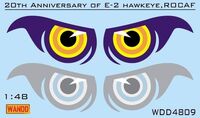 ROCAF E-2C Hawkeyes 20th Anniversary 2015 Big Eye Livery
